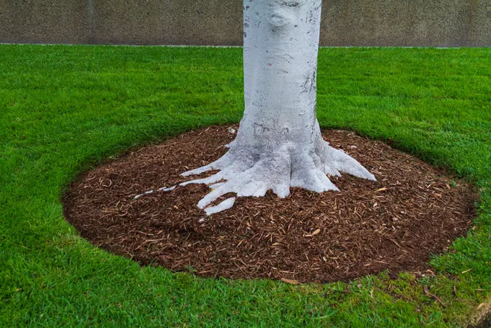 What does mulch do in Federal Way, WA